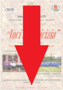 2025.05.24 - Voci in Amicizia. Download